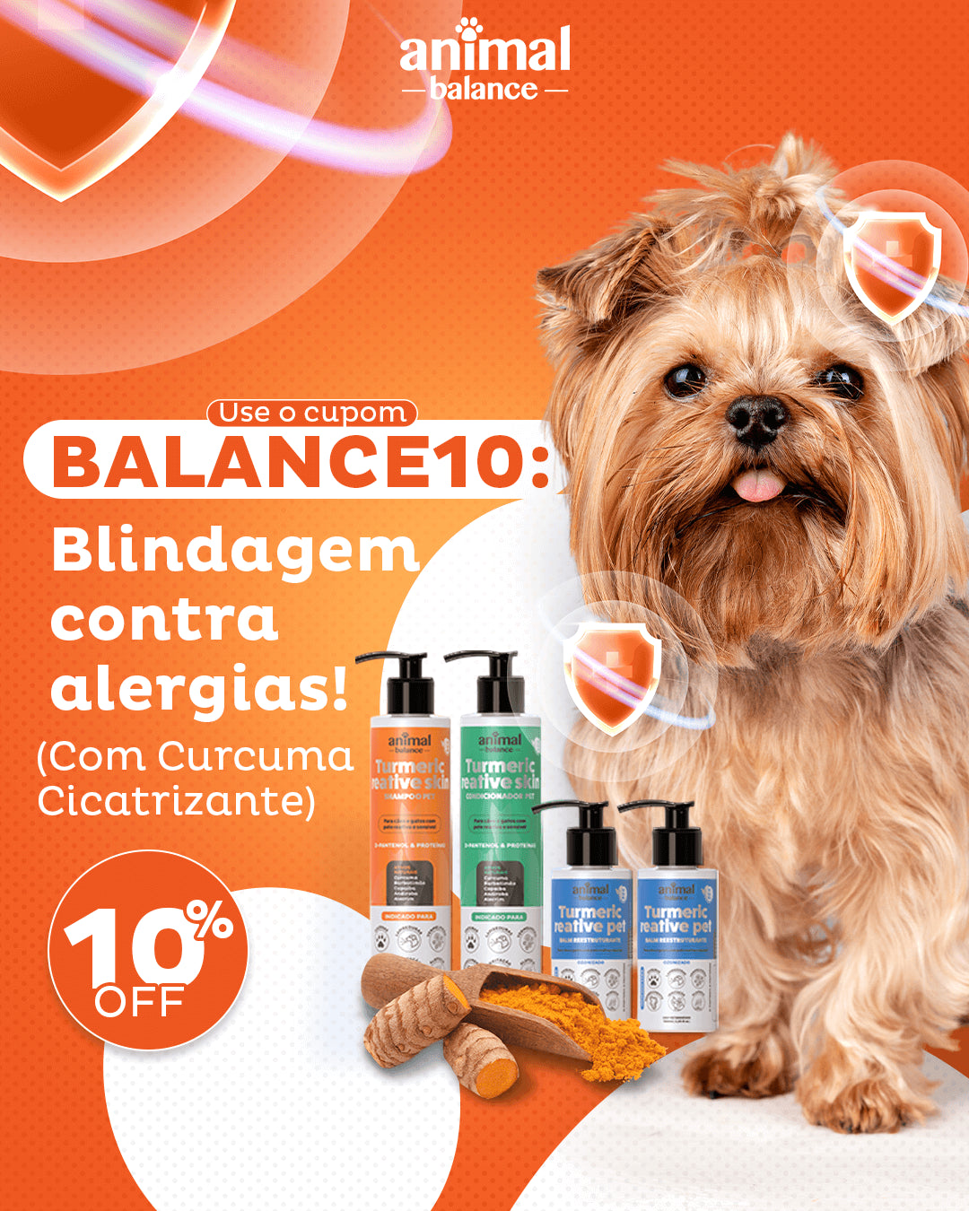 Kit de Cúrcuma para Dermatite Canina
