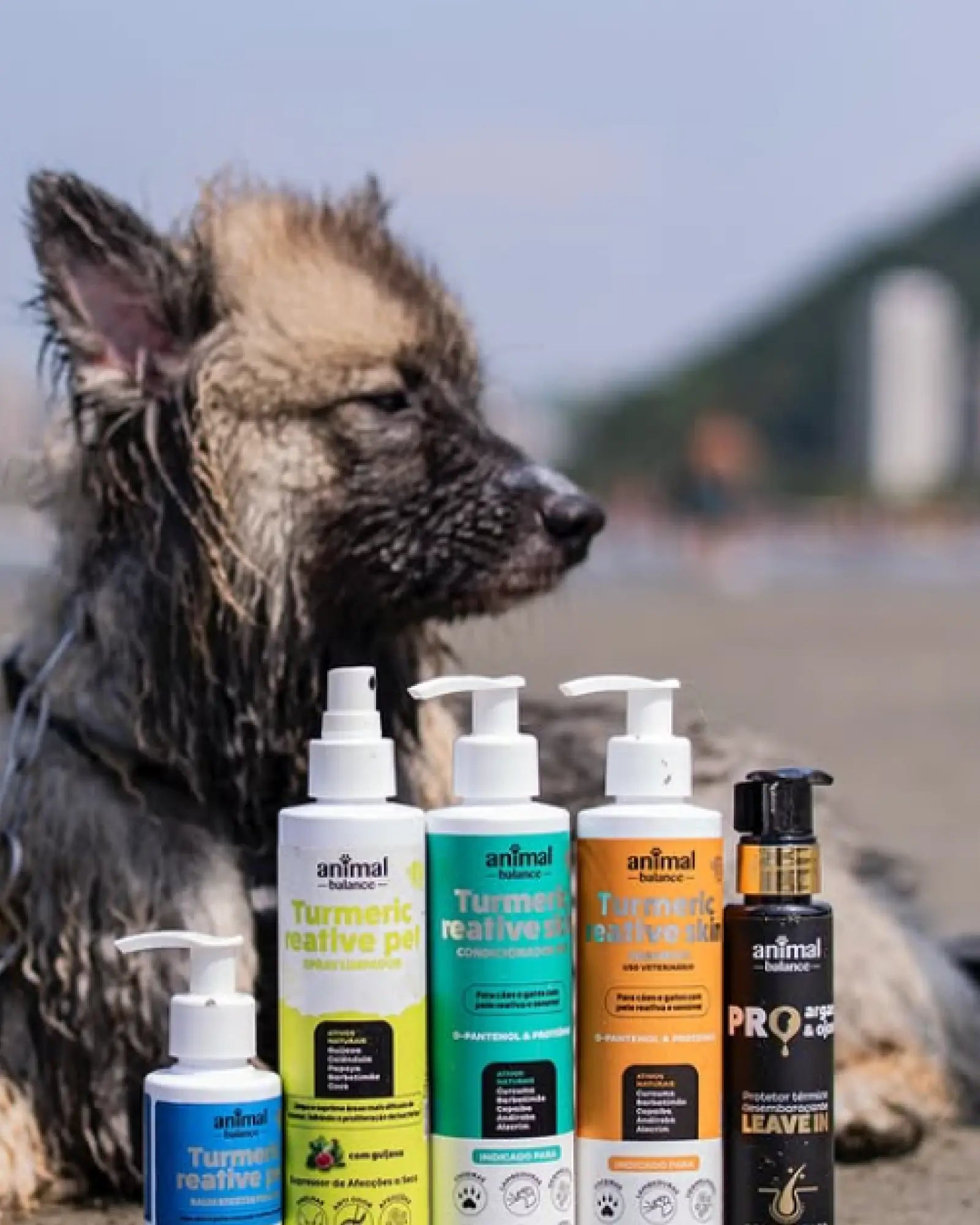 3 Desembaraçadores Leave-in Ojon e Argan