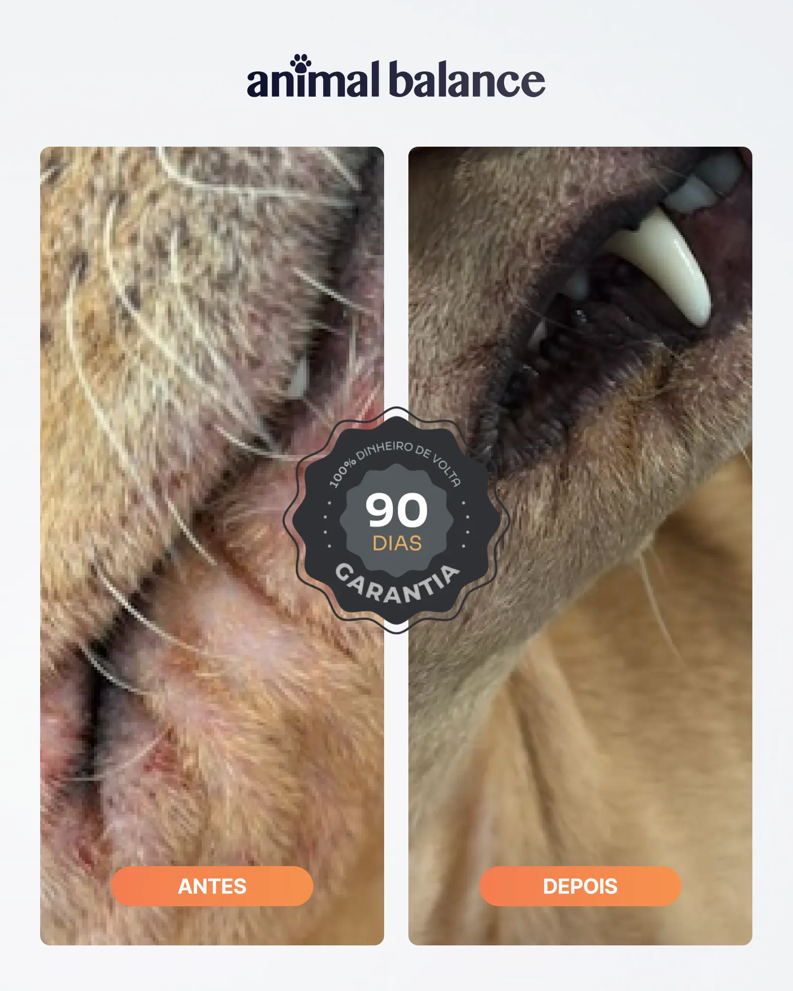 PowerOmega 3, 6 e 9 + Cúrcuma - Suplemento Vitamínico, Sabor Cordeiro 500ml - 4und