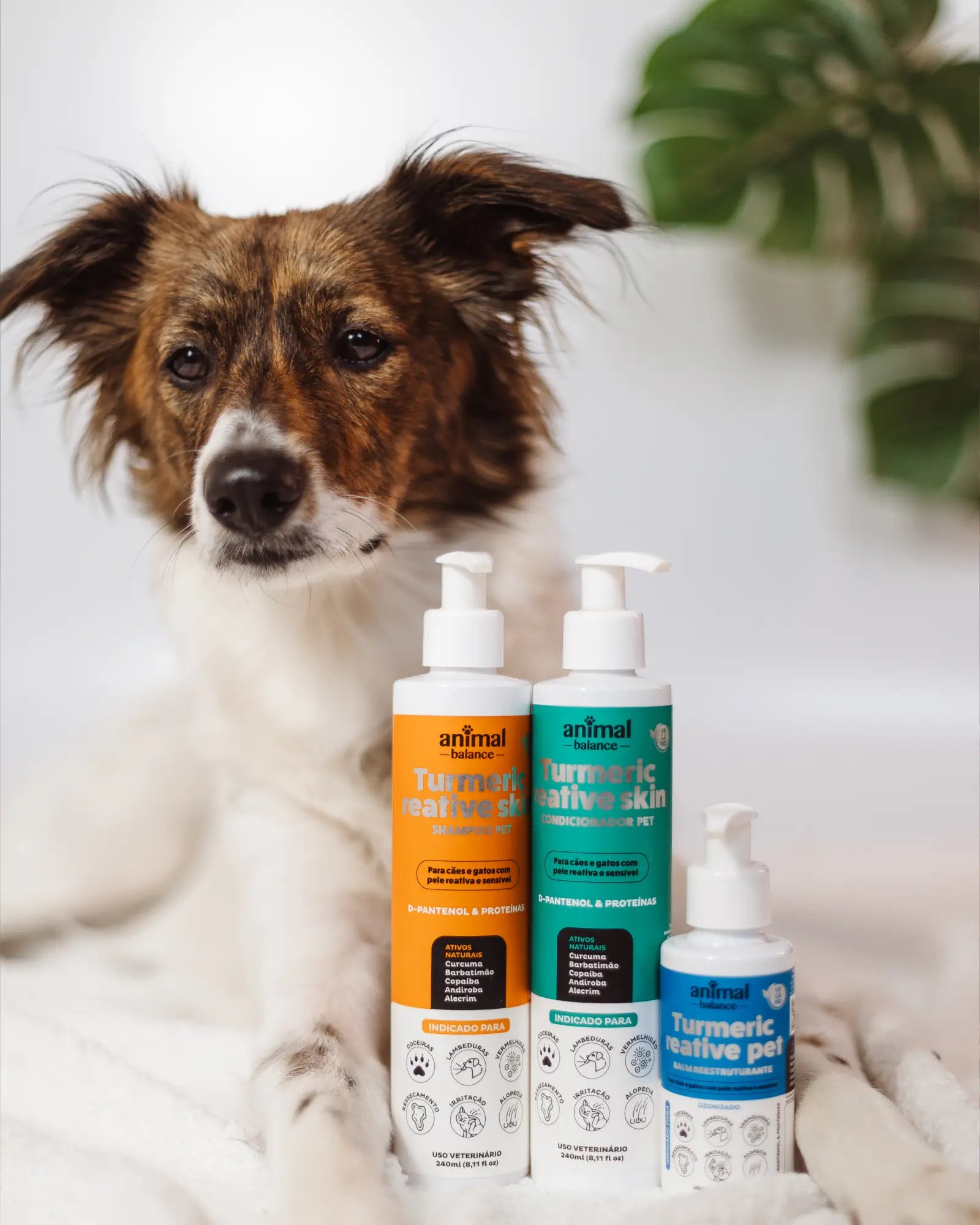 Kit Reparação Cúrcuma  - 1 Balm + 1 Shampoo + 1 Condicionador
